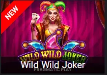 Wild Wild Joker