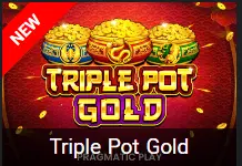 Triple Pot Gold